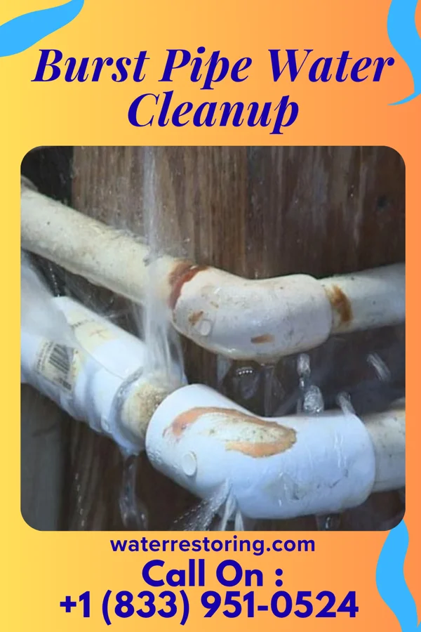 Burst Pipe Water Cleanup in Navarino, WI