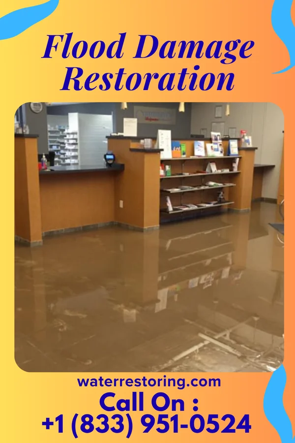 Flood Damage Restoration in Navarino, WI