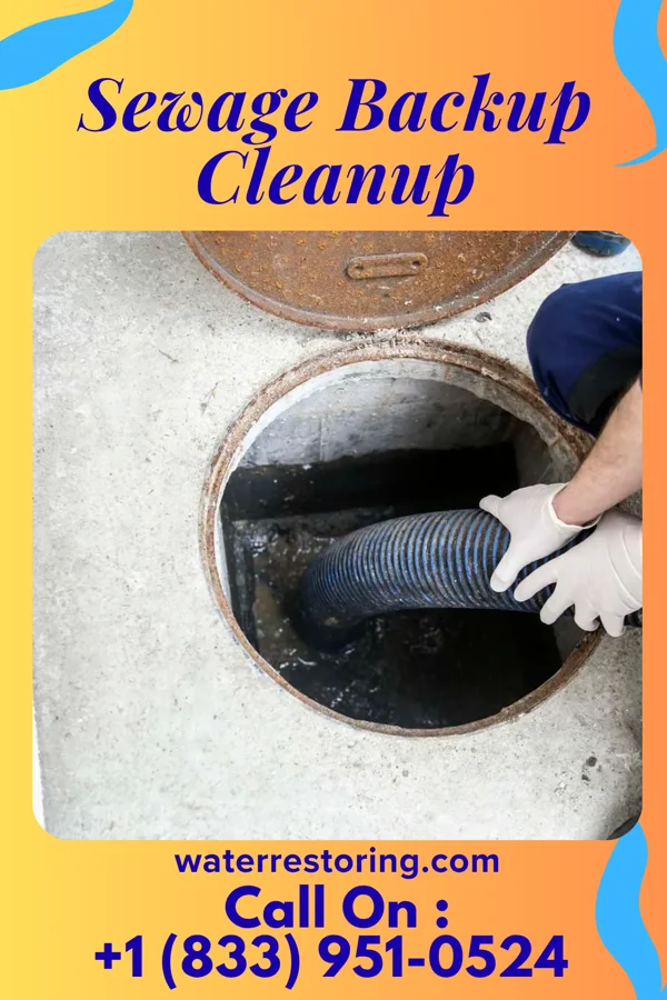 Sewage Backup Cleanup in Navarino, WI