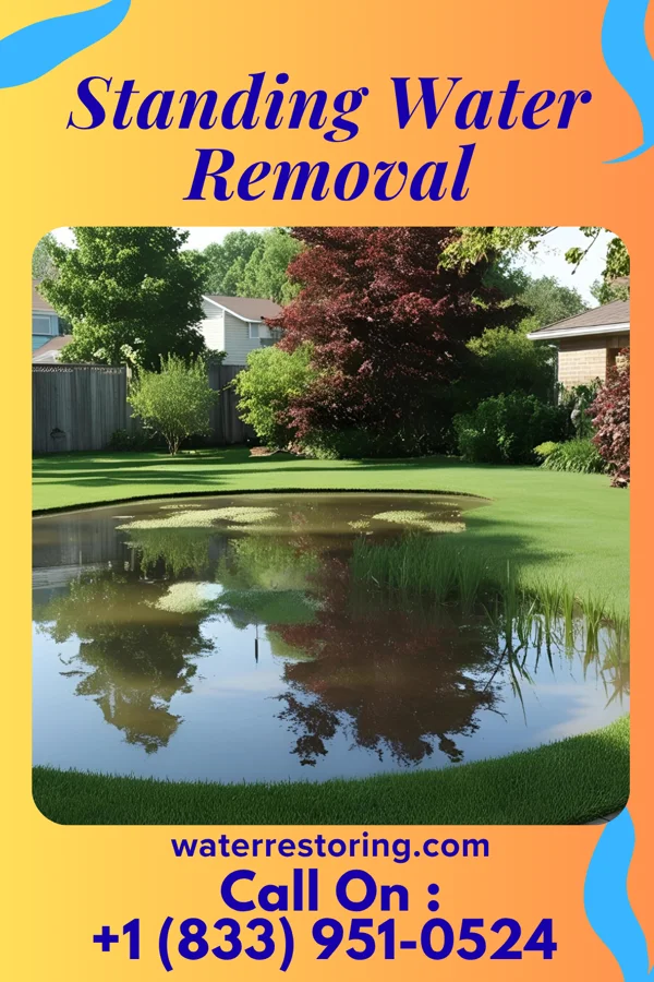 Standing Water Removal in Navarino, WI
